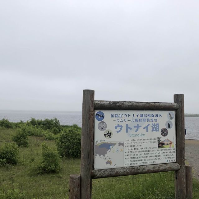 道の駅　ウトナイ湖　雨の日も素敵🩵