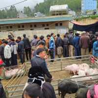 Market in Ha Giang are lively n noisy