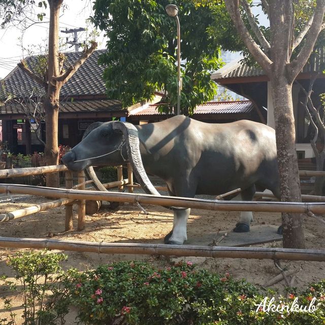 เยี่ยมชมพิพิธภัณฑ์​พื้นบ้านจ่าทวี