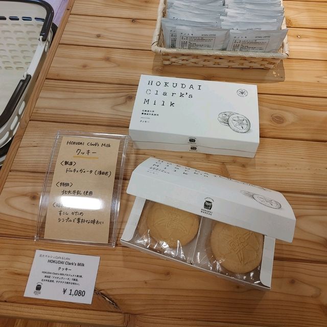 さっぽろ駅から徒歩10分！大自然を満喫できる札幌おすすめ観光&ホテル