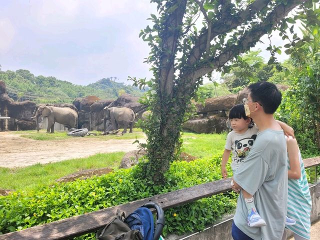 台灣必去的台北市立動物園