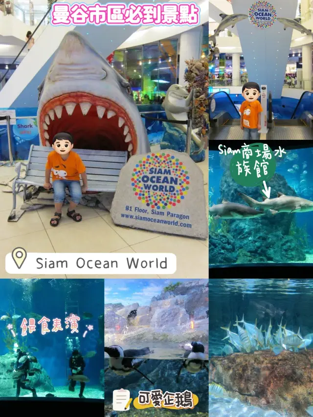 超合適泰國🇹🇭親子活動景點👍🏻曼谷最大水族館😛Siam Ocean World