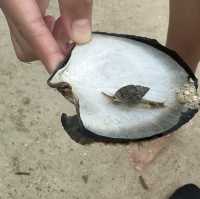 美麗的資生堂島