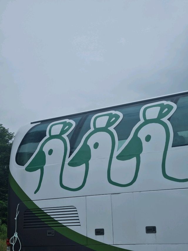 카페야 수영장이야?