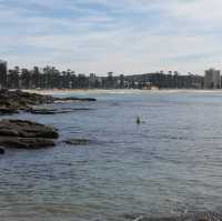 Sydneysiders Favourite Beach 