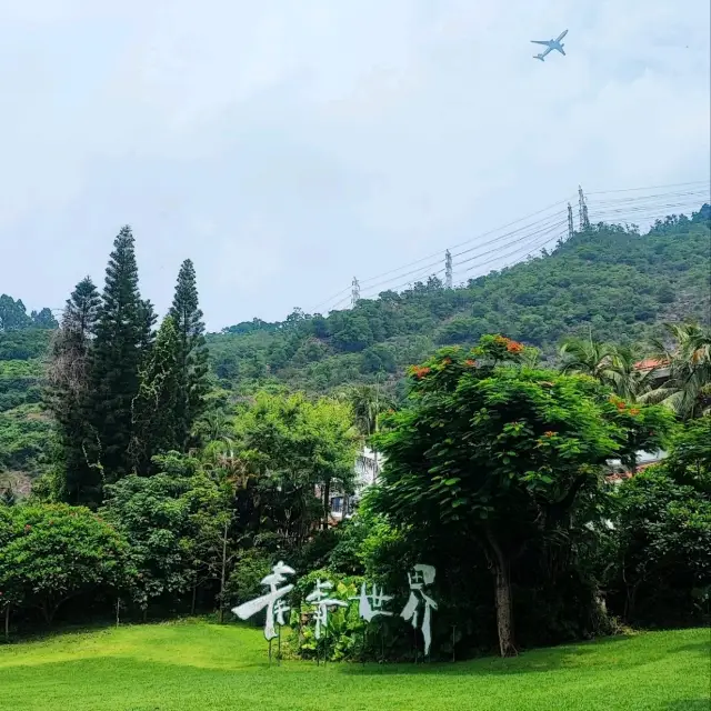 深圳青青世界酒店 - 享受深圳大都市的寧靜面 