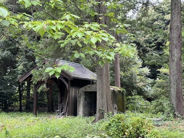 東京・北区。旧古河庭園内にあります『旧古河邸 大谷美術館』  東京・北区。旧古河庭園内にあります『旧古河邸 大谷美術館』
