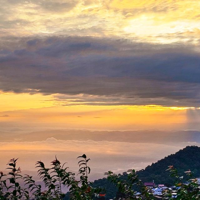 ที่พักเชียงใหม่ บ้านภูหมอก ตั้งอยู่บนสุดของเนินเขา