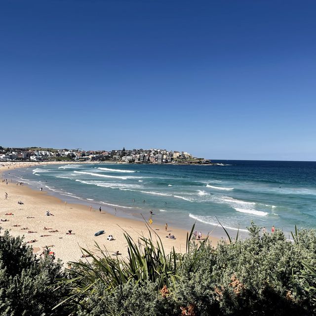 Bondi Beach , Sydney🇦🇺🌊