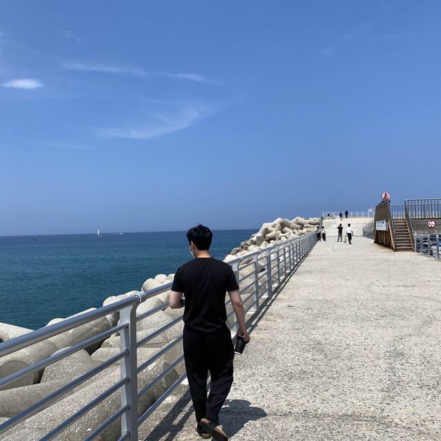 넓고 푸른 동해안의 자랑 강릉 안목해변🌊