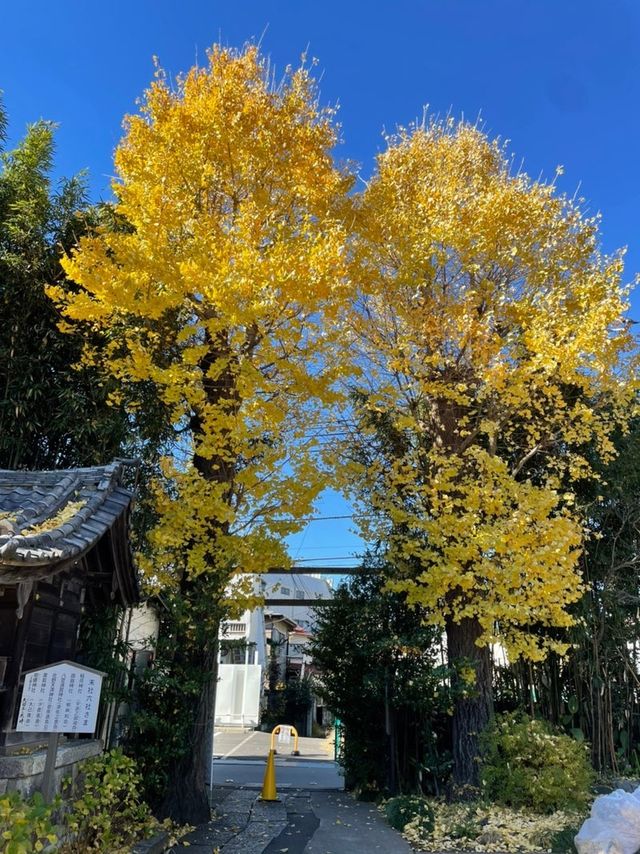 【東京都/鷺宮八幡神社】竹林が美しい神社