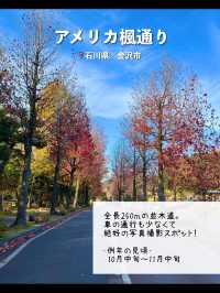 【石川】行ってよかった！金沢の紅葉スポット5選🍁