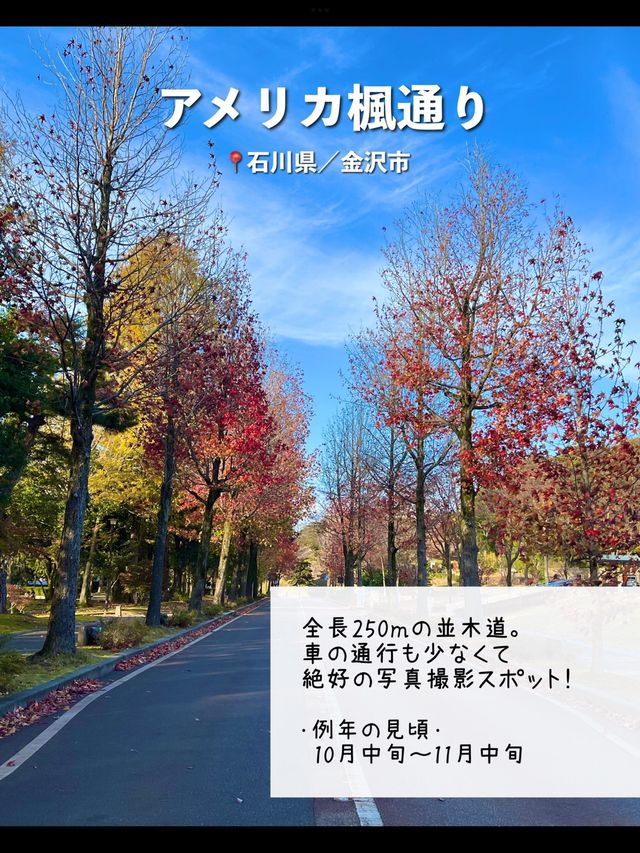 【石川】行ってよかった！金沢の紅葉スポット5選🍁