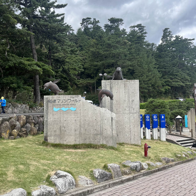 【兵庫】絶景すぎる水族館！城崎マリンワールド