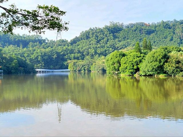 深圳市仙湖植物園
