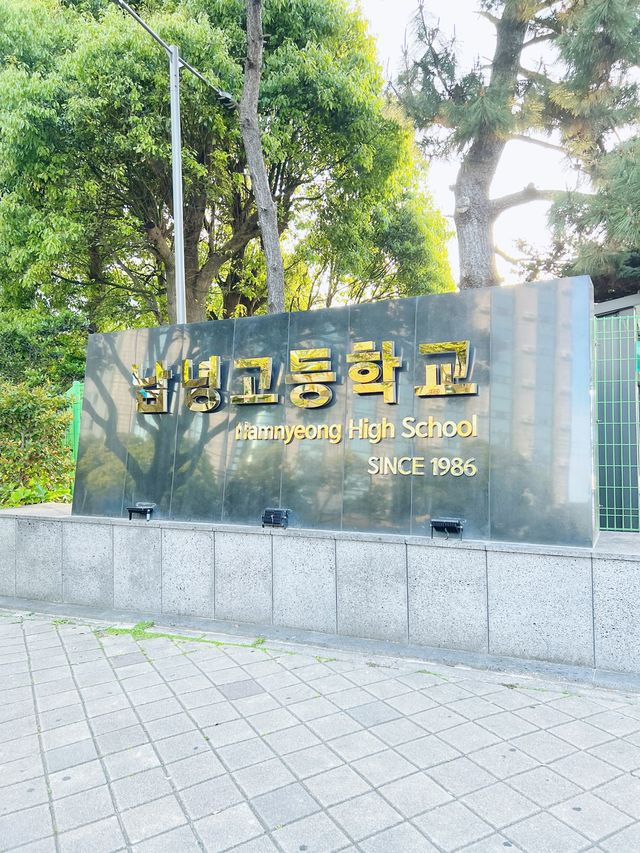 🇰🇷 Jeju city street walk