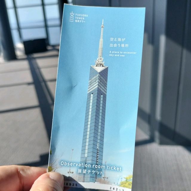 【福岡】福岡おすすめ観光スポット✨福岡タワー