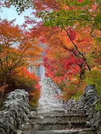 Shades of Autumn going into full swing