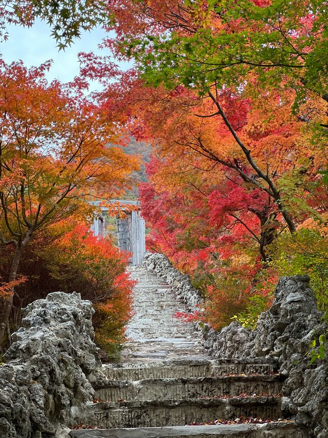 Shades of Autumn going into full swing