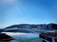 南韓釜山 又是一個海底龍宮的傳說 松島天空步道 송도구름산책로