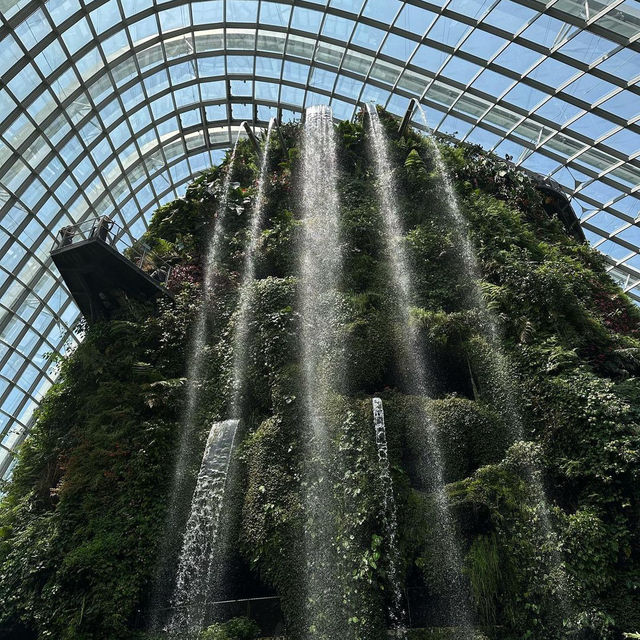 Garden By The Bay, Singapore