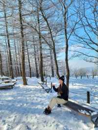 강원도 겨울여행은 여기! 정선 만항재❄️