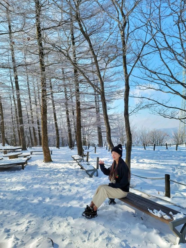 강원도 겨울여행은 여기! 정선 만항재❄️