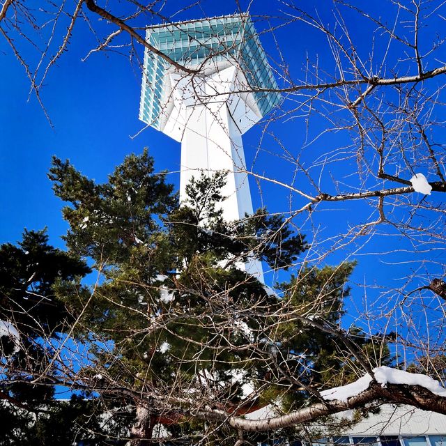 函館代表景點 五稜郭公園❄️