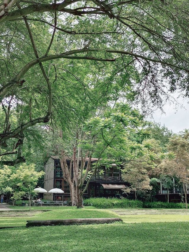  ร้าน คาเฟ่โรงบ่ม เก๊าไม้ล้านนา สันป่าตอง 
