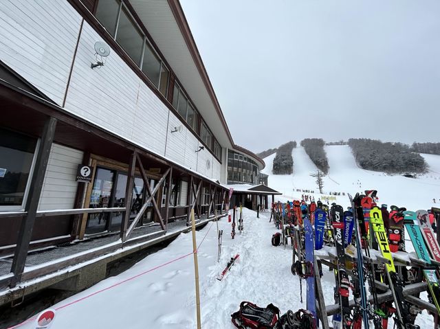 長野駅から45分でパウダースノーが楽しめる戸隠スキー場をご紹介