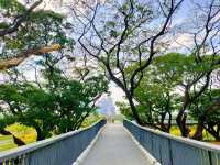 สวนป่าเบญจกิติ