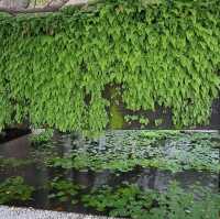 大隱隱於市，藏於民宅的藝術禪寺。