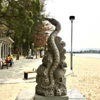 Educational/Storey Telling at Cafeteria Beach