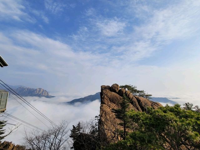 설악산케이블카 타고 "권금성"