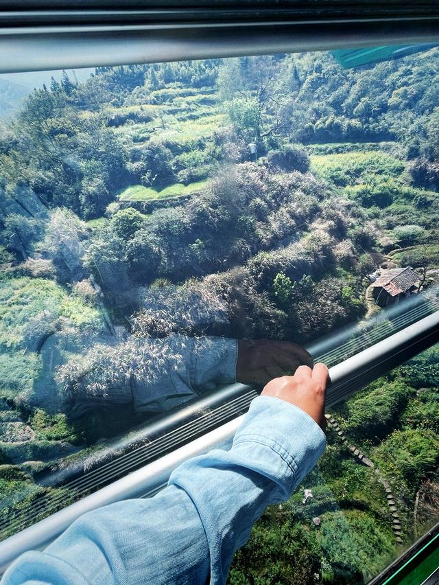 Up to the Mountain 🔝 Wuyuan Huangling 