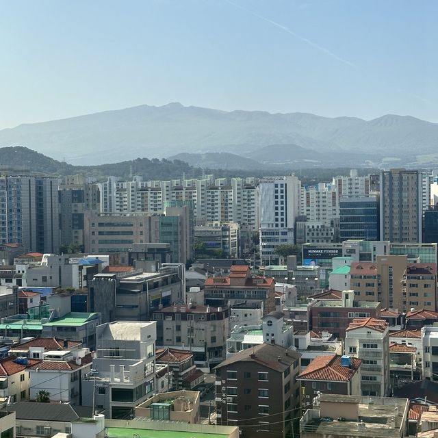 제주 한라산뷰 가성비 호텔 위드스테이 제주 