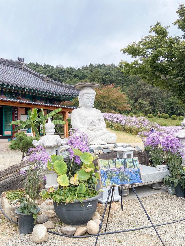 한국의 10월 여기는 꼭 가보세요!