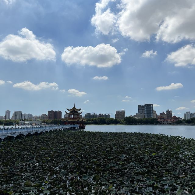 高雄景點-蓮池潭風景區