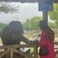 Bestie’s Day Out At SH Wild Animal Park