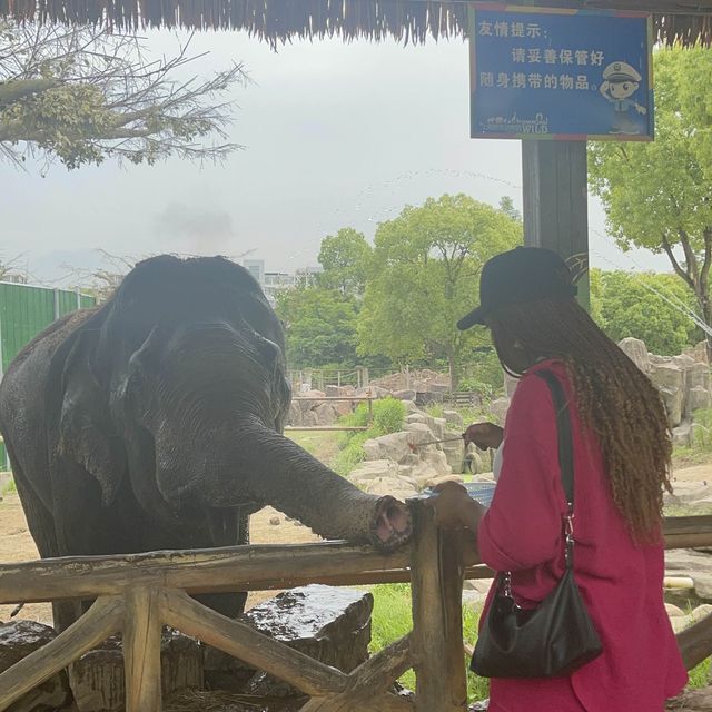 Bestie’s Day Out At SH Wild Animal Park