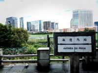 氹仔生態之旅：龍環葡韻人工湖濕地