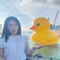 DOUBLE DUCKS橡皮鴨二重奏遊維港藝術展覽打卡