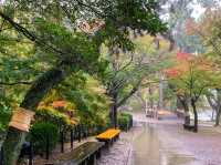 ปราสาทโอคะซะกิ (Okazaki Castle)🏯