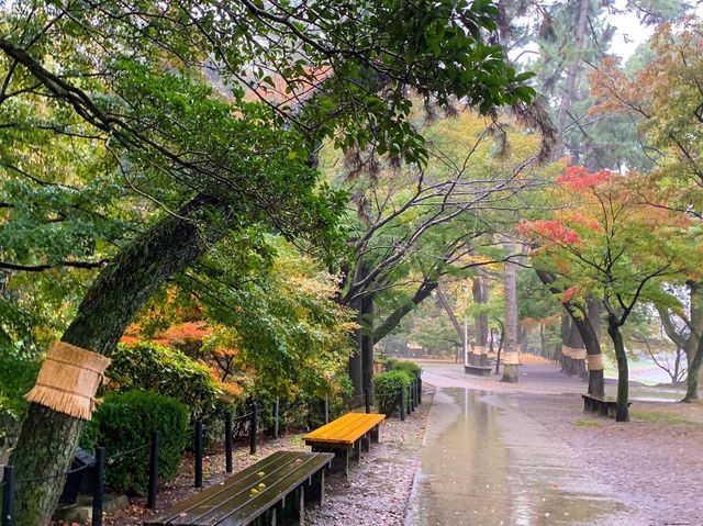 ปราสาทโอคะซะกิ (Okazaki Castle)🏯