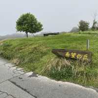 淡路島「あわじ花さじき」駐車場料金だけで入場できる花畑
