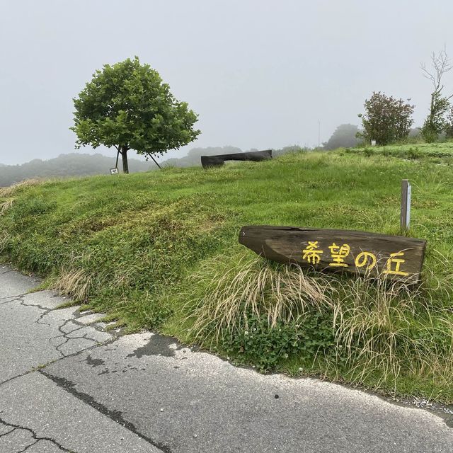 淡路島「あわじ花さじき」駐車場料金だけで入場できる花畑