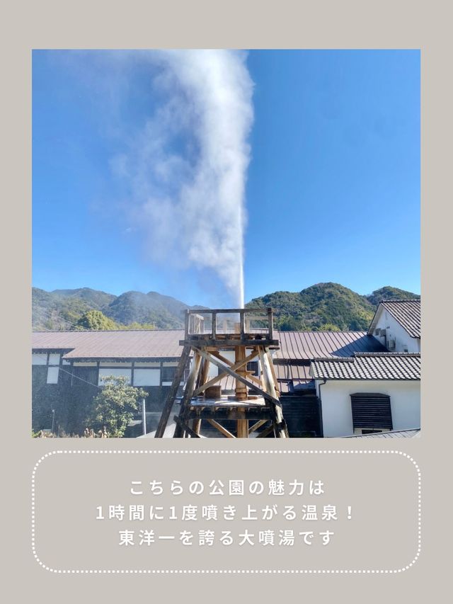 【静岡】わんこと行ける温泉公園♨️