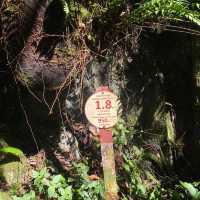 Toughest Climb - Mulu Pinnacles