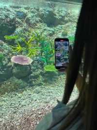 อควาเรียมบางแสน🐠🦀🪼 : ที่เที่ยวบางแสน