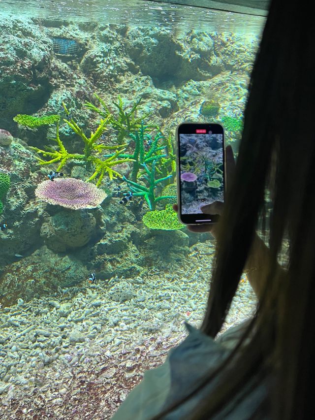 อควาเรียมบางแสน🐠🦀🪼 : ที่เที่ยวบางแสน